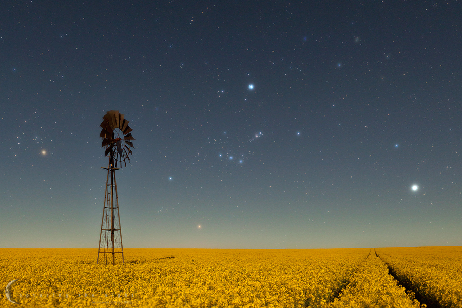 Field Of Dreams